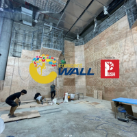 DIY Full Climbing Panel (1220mm x 2440mm) - Hình ảnh 7