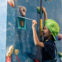Climbing grip paint (Volume Holds or Surface of Climbing Wall) - Image 2